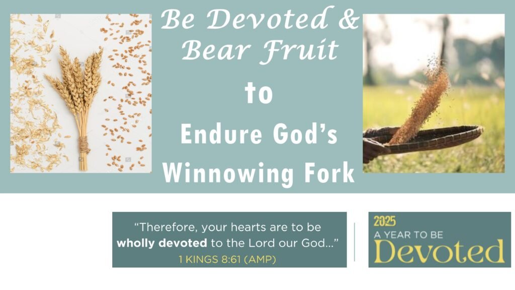 Be Devoted &  Bear Fruit